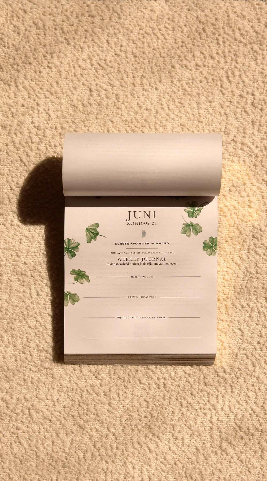 Moonsisters kalender 2026 | Nederlands - Afbeelding 12