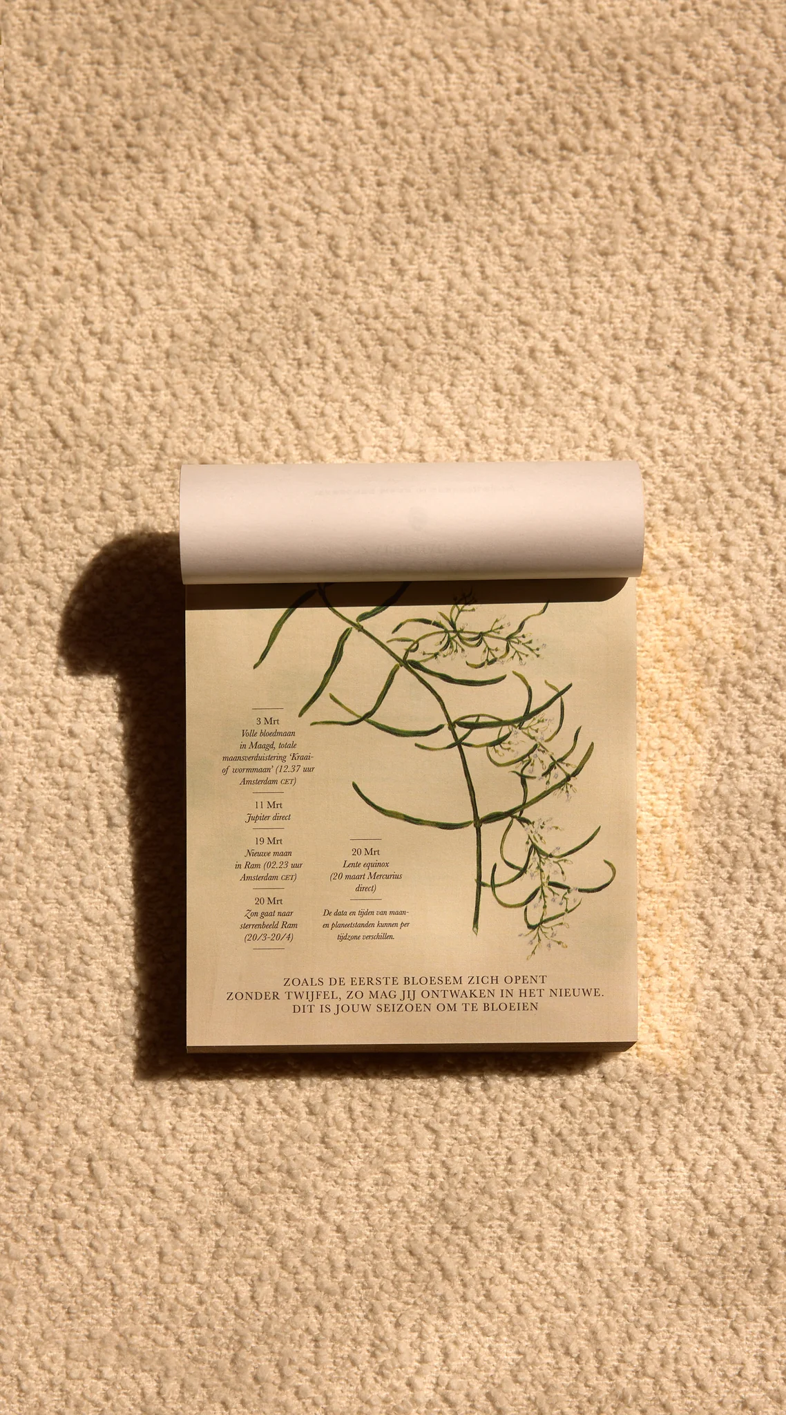 Moonsisters kalender 2026 | Nederlands - Afbeelding 7