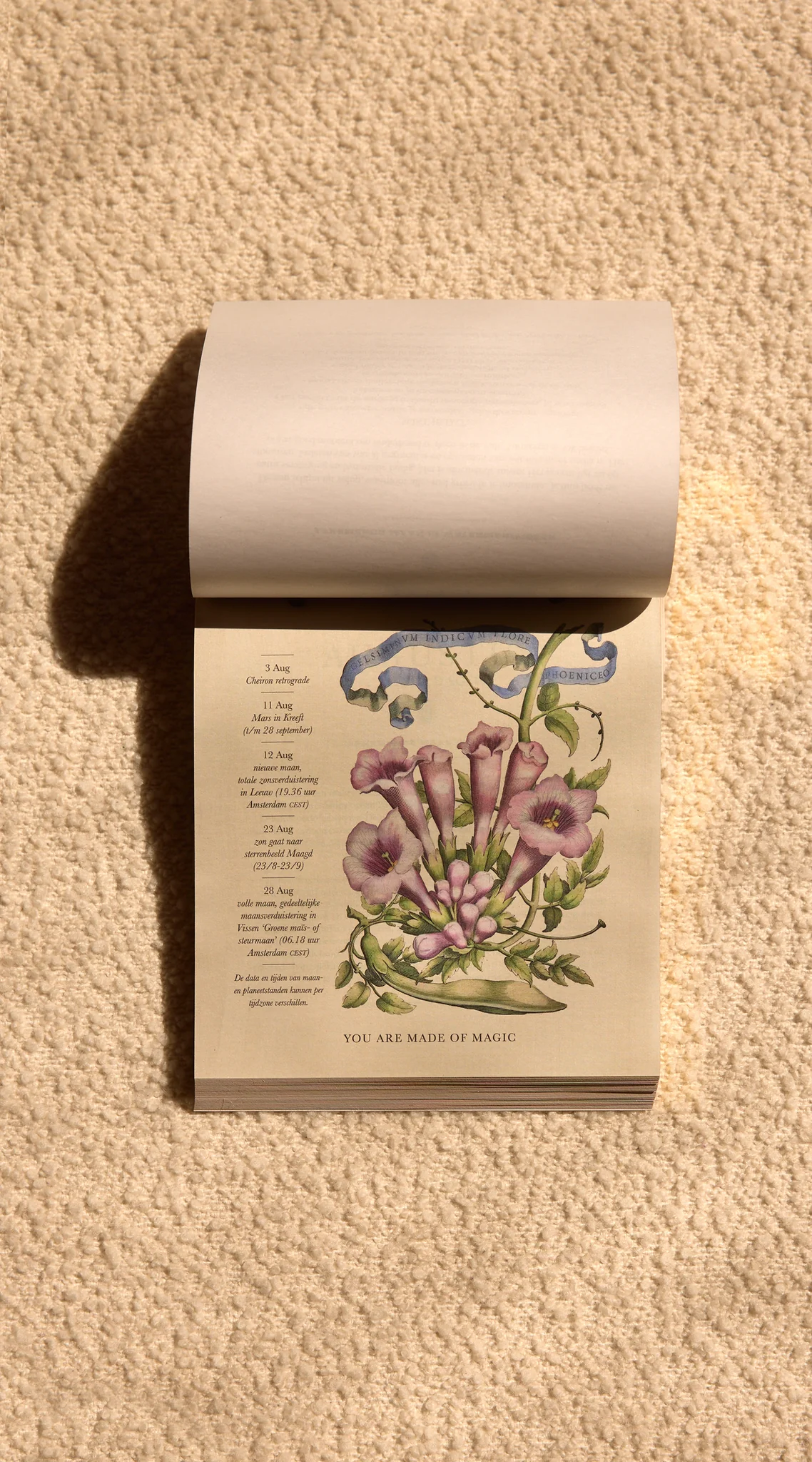 Moonsisters kalender 2026 | Nederlands - Afbeelding 10
