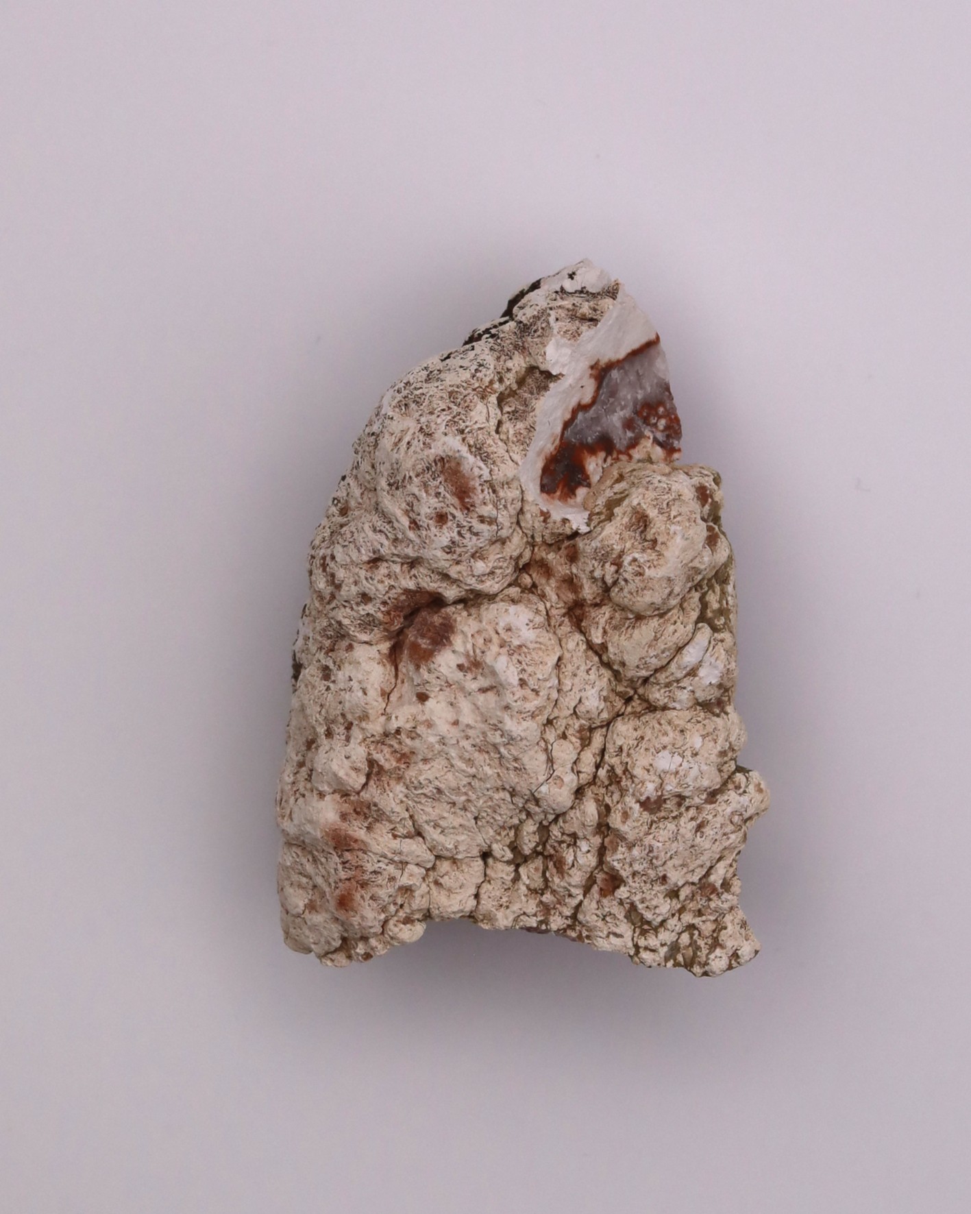 Roze amethist geode | Z1 - Afbeelding 2