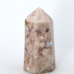 Bloemagaat | lovely blossom