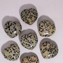 Jaspis hartje | Dalmatier