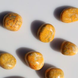 Jaspis trommelsteen | Bumble Bee