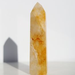 Limoniet toren | Golden healer | 21