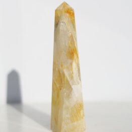 golden-healer-toren-4-b